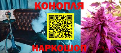 стаф Нальчик