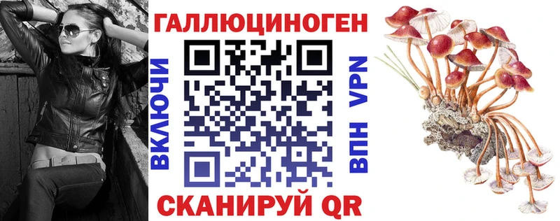 Псилоцибиновые грибы мицелий  дарнет шоп  Юрга 