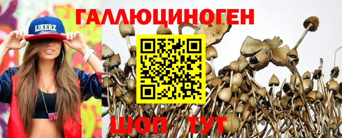 Юрга  Галлюциногенные грибы ЛСД  наркота  Вход с VPN 
